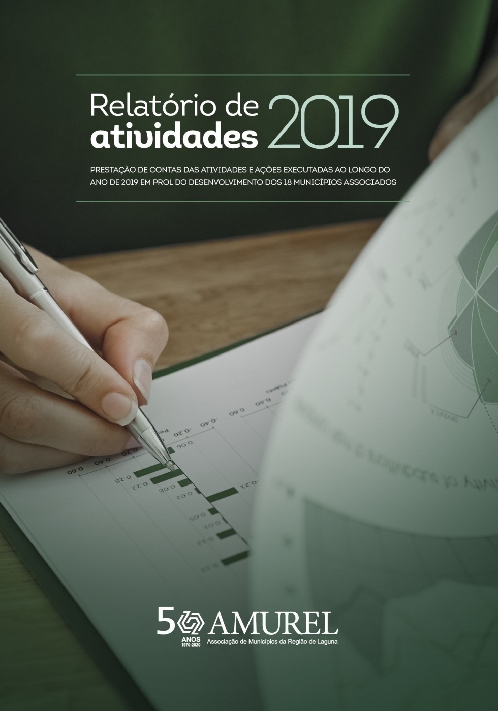 RELATÓRIO DE ATIVIDADES - 2019 - AMUREL